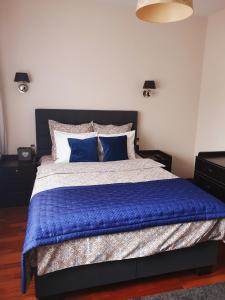 sypialnia z dużym łóżkiem z niebieską pościelą i poduszkami w obiekcie Apartament LUNA Francuska Park w mieście Katowice