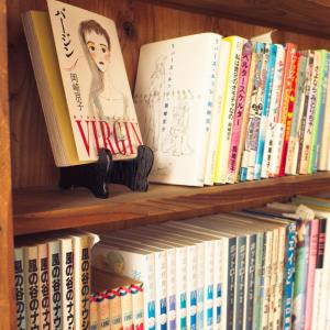 Biblioteca en el hostal
