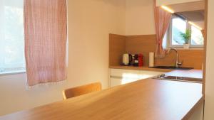 Kuchyň nebo kuchyňský kout v ubytování Apartmány Na Potoku