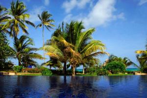 a pool of water with palm trees and the ocean at The Palms Zanzibar in Bwejuu