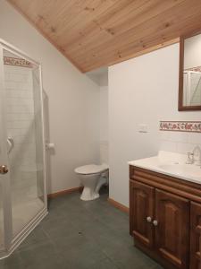 ein Bad mit einem WC, einem Waschbecken und einer Dusche in der Unterkunft Beaumaris Beach Guest House in Beaumaris Tasmania