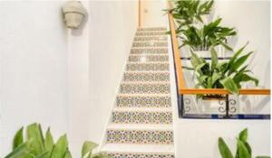 Fotografie z fotogalerie ubytování Apartamentos Los Arcos v destinaci El Bosque