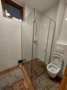 a bathroom with a shower and a toilet at Apartman Grey in Zlatibor
