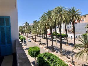 uitzicht op een straat met palmbomen en een gebouw bij Hotel El Maghreb Al Kabir in Nador