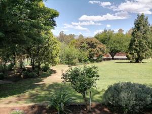 a garden with trees and a field of grass at Clarens on Collett in Clarens