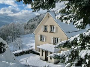 a house in the snow with snow covered trees at le gîte de la Tourette in Hohrod