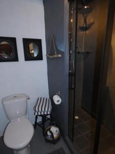 a bathroom with a toilet and a shower at Domaine de Givré in Chinon