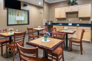 Kuchyň nebo kuchyňský kout v ubytování Rodeway Inn Carrollton I-35E