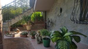 A garden outside B&B La Corte Dei Samidagi