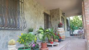 A garden outside B&B La Corte Dei Samidagi