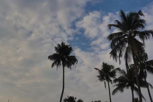Gallery image of Noah's Ark in Cochin