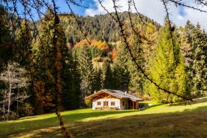 a house in the middle of a field with trees at Baita Valon - Alpine Hideaway in Comano Terme