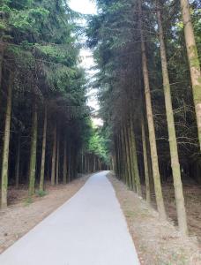 Loodusmaastik of the country house lähedal