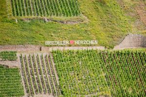 an aerial view of a field with a sign in the middle at Wein- und Sektgut Markus Hensler in Briedel