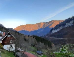 Príroda v okolí dovolenkového domu
