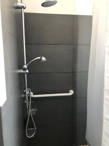 a shower in a bathroom with a shower head at Mare&Terra... Alloggi nel Delta in Polesine Camerini