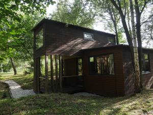 a small house in the middle of a forest at Piece of Heaven and Piece of Dream in Râşnov