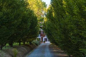 une route bordée d'arbres avec une maison au loin dans l'établissement Agriturismo Relais "il Bricco", à Nizza Monferrato