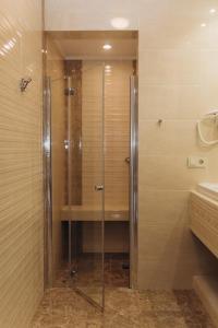 a shower with a glass door in a bathroom at Eco Sadiba KasKad in Velyka Volosyanka