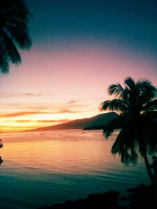 a sunset over the ocean with a palm tree at bungalow lagon view in Moorea