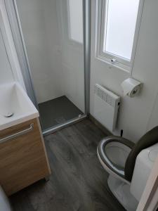 a bathroom with a toilet and a sink and a window at Holiday in Renesse in Renesse