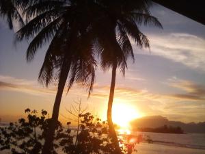 a sunset on the beach with two palm trees at bungalow lagon view in Moorea