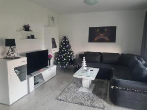 ein Wohnzimmer mit einem Weihnachtsbaum und einer Couch in der Unterkunft Apartman DORA in Aranđelovac