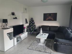 Posezení v ubytování Apartman DORA