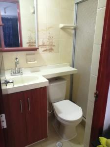 a bathroom with a toilet and a sink and a mirror at Hostal Dante in San Gil