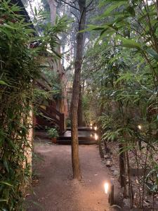 a garden with a pathway with candles and trees at Kimbara Bosque y Mar in Mar de las Pampas
