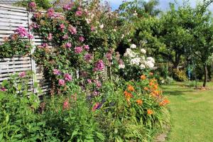 een tuin vol met veel verschillende gekleurde bloemen bij U Beauty - B & B in Whangarei