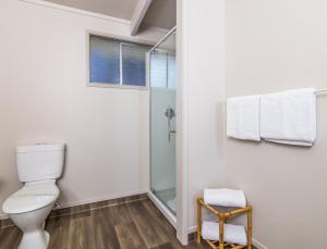 a bathroom with a toilet and a shower at Twin Peaks Lakeside Inn in Taupo