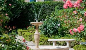 Zahrada ubytování Villa Cicolina
