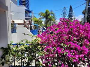 Galeriebild der Unterkunft Surfers Beach Resort One in Gold Coast