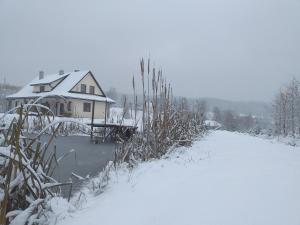 a house in the snow next to a pond at Pod Nartami in Hoczew