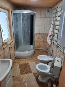 ein Bad mit einem WC, einer Dusche und einem Waschbecken in der Unterkunft Гостинний двір Матійчуків in Worochta