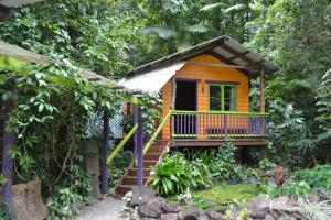 a small yellow house with a balcony in the woods at Rainforest Hideaway in Cape Tribulation