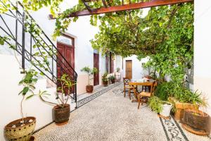 Vonkajšia záhrada v ubytovaní villa Zinovia