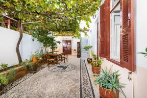 Vonkajšia záhrada v ubytovaní villa Zinovia