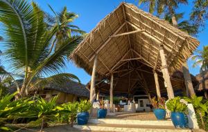 un complejo en la playa con palmeras en Butiama Marine Camp, en Utende