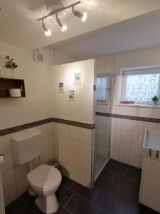 ein Badezimmer mit Toilette und Dusche in der Unterkunft Apartment Kieselsgrund in Dielheim + 19 Fotos