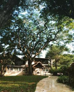 Paisatge natural a prop del bed and breakfast