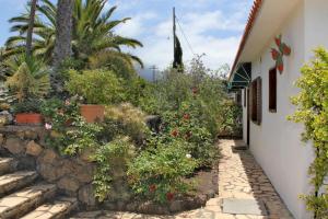 Zahrada ubytování Jardin de Aridane