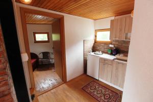 eine Küche mit einer Spüle und einer Arbeitsplatte in der Unterkunft Svetionik Apart in Konjic