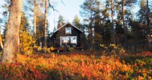 a small cabin in the middle of a forest at LapinTintti Eco-Cabin in Inari in Inari