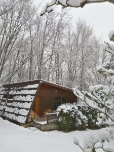 une cabine avec de la neige sur le toit dans les bois dans l'établissement Chałpa na skarpie, à Meszna