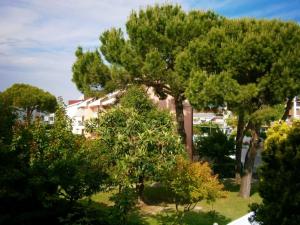 un gruppo di alberi di fronte a una casa di B&C Apartments LA POSTA Home a Lido di Jesolo