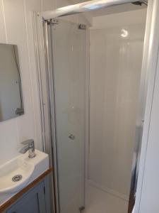 un bagno con doccia e lavandino di Yew Tree View Luxury Shepherd's Hut a Sturminster Newton