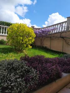 a garden with purple flowers and a fence at LES BRUYERES in Chaptelat