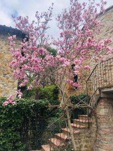 Ein Baum mit rosa Blumen neben einem Gebäude in der Unterkunft La Magnolia in Greve in Chianti